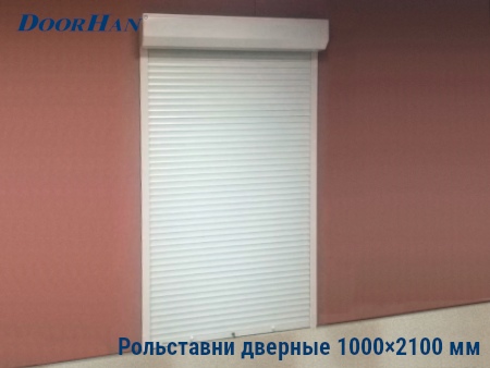 Рольставни на двери 1000×2100 мм в Смоленске от 34993 руб.