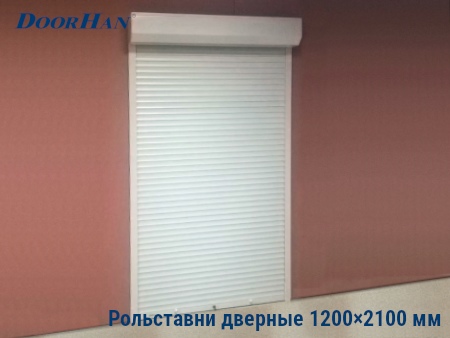 Рольставни на двери 1200×2100 мм в Смоленске от 38546 руб.