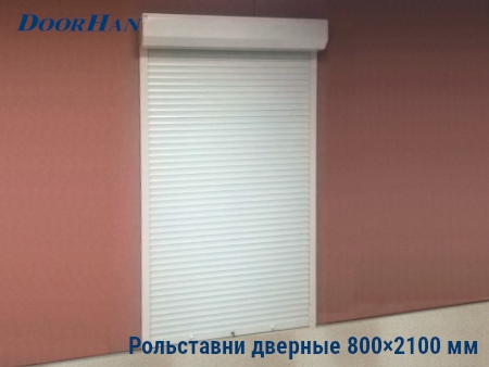 Рольставни на двери 800×2100 мм в Смоленске от 31440 руб.